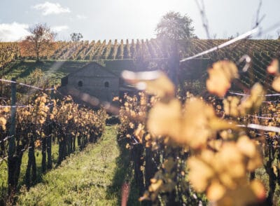 Die 7 schönsten Weinregionen in Europa