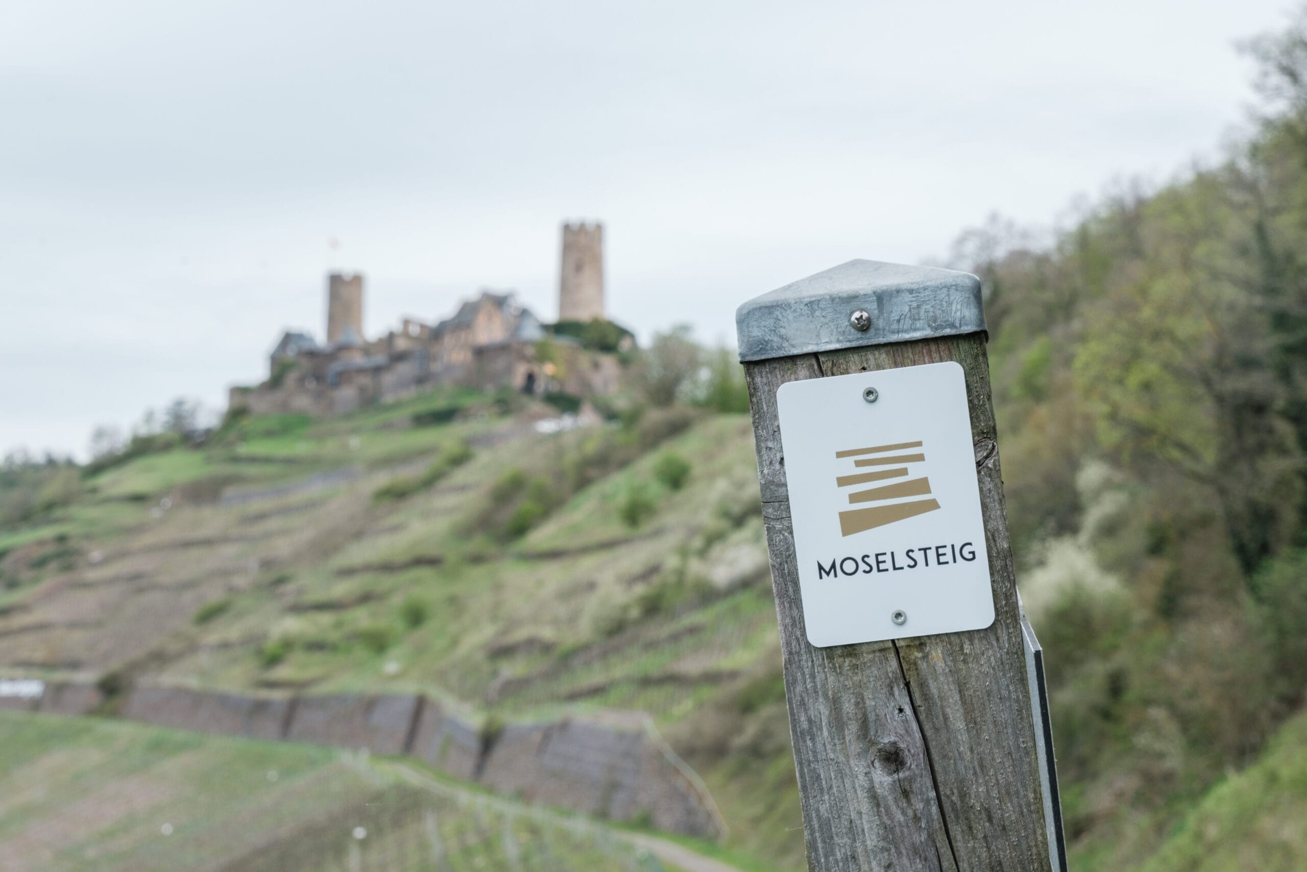 Moselsteig – Meine Erfahrung an fünf Wandertagen