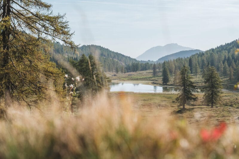 Herbstwandern in Österreich: Meine 7 schönsten Regionen