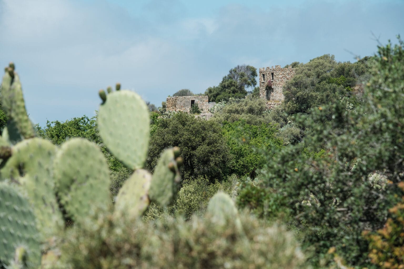 Wandern auf Korsika Das sind meine 14 Tourentipps