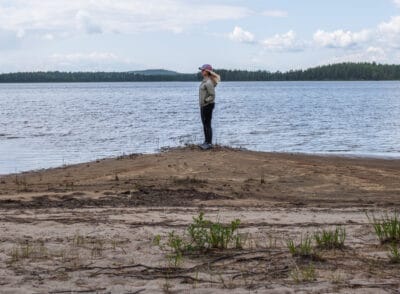 Koli Nationalpark – Aktivitäten und unvergessliche Erlebnisse in Mittelfinnland