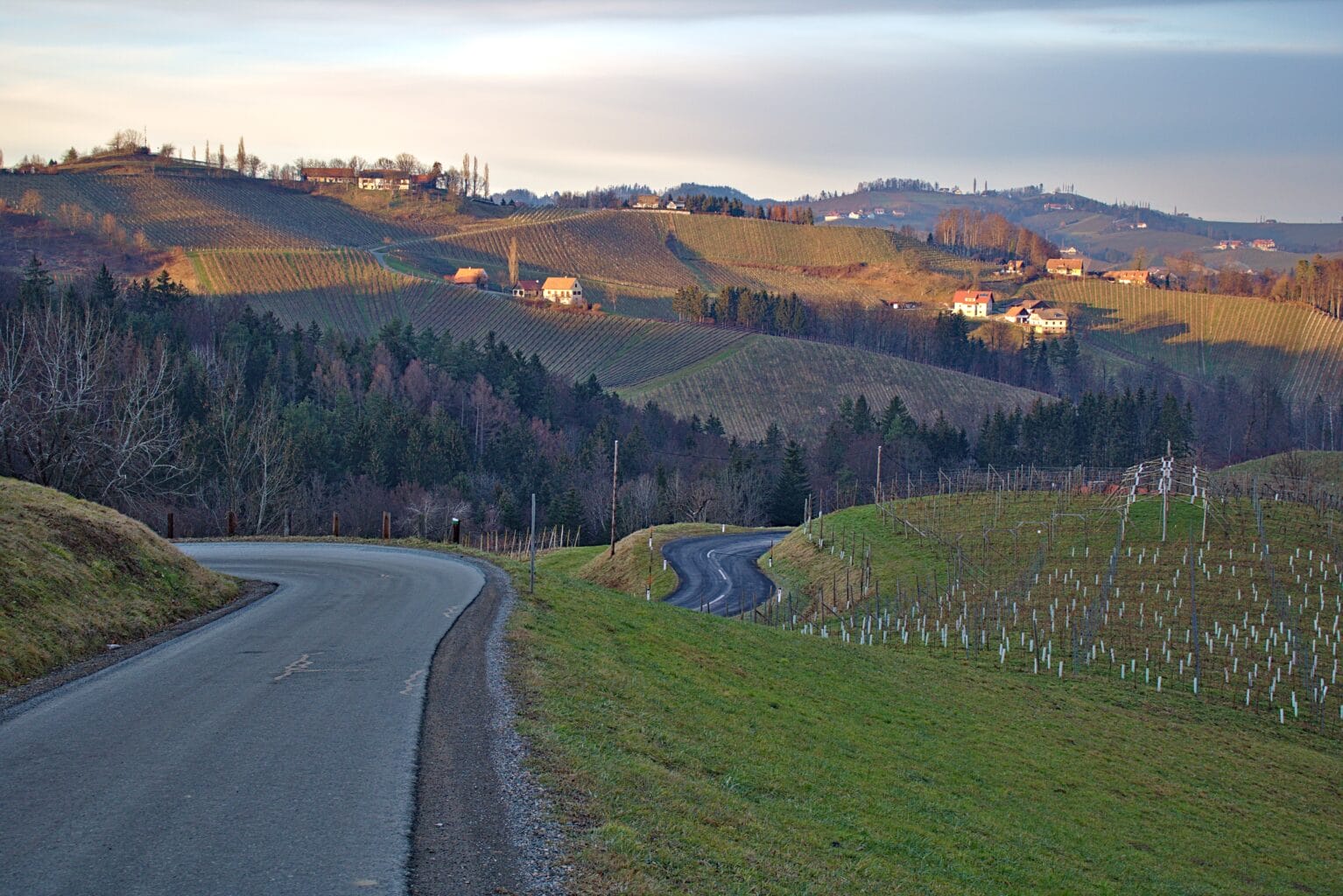 Stimmung am Eory-Kogel