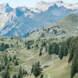 Zu den Blogbeiträgen über Berner Oberland