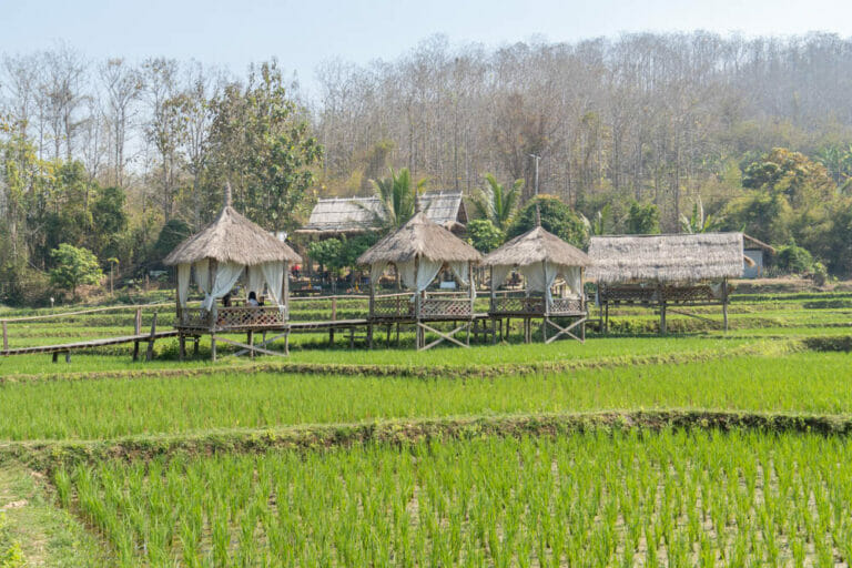 Saftig grüne Reisfelder gibt es nicht nur in Bali