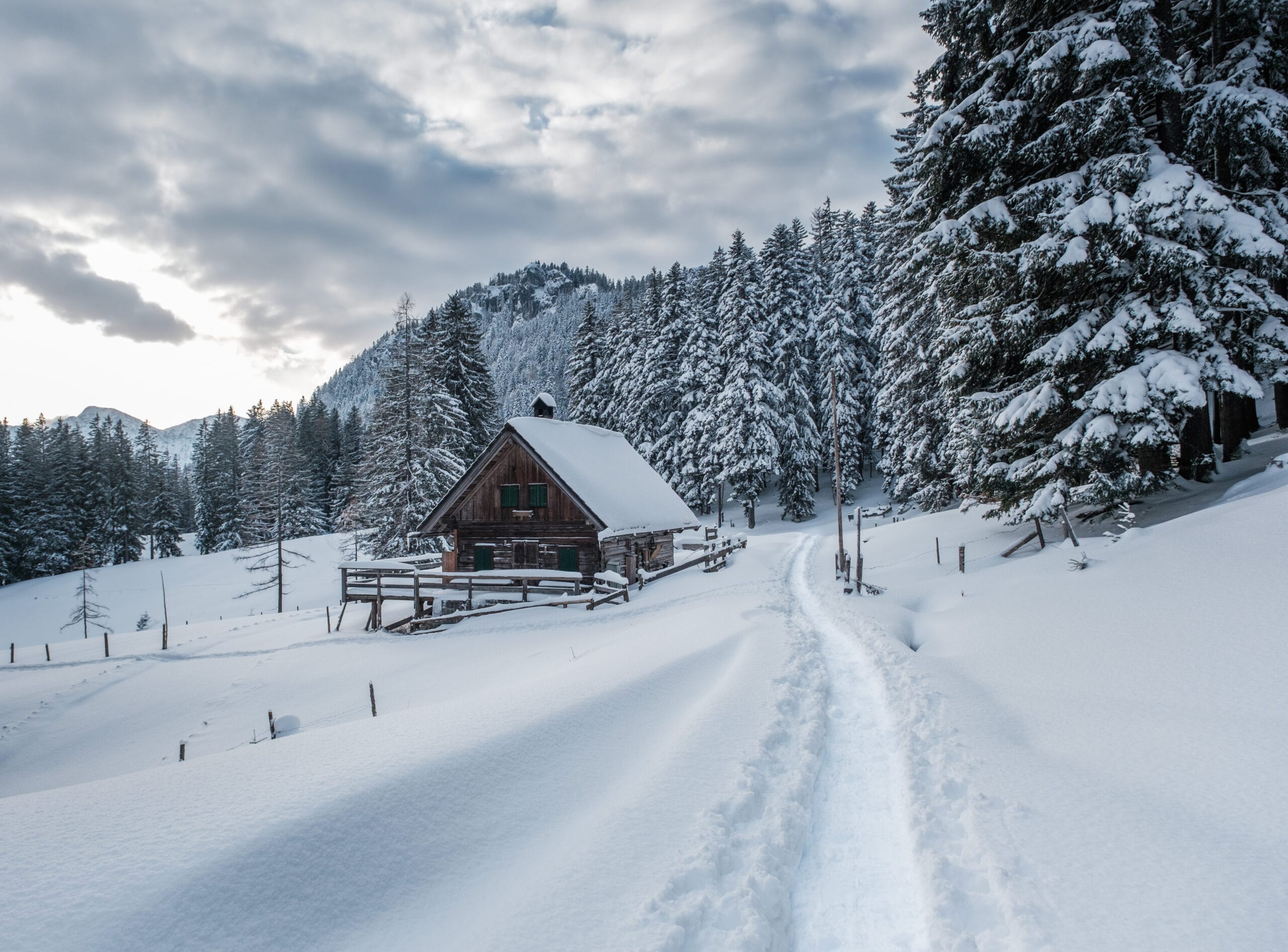 »Kleine Rosenkogel Runde« Schneeschuhwandern im Salzkammergut