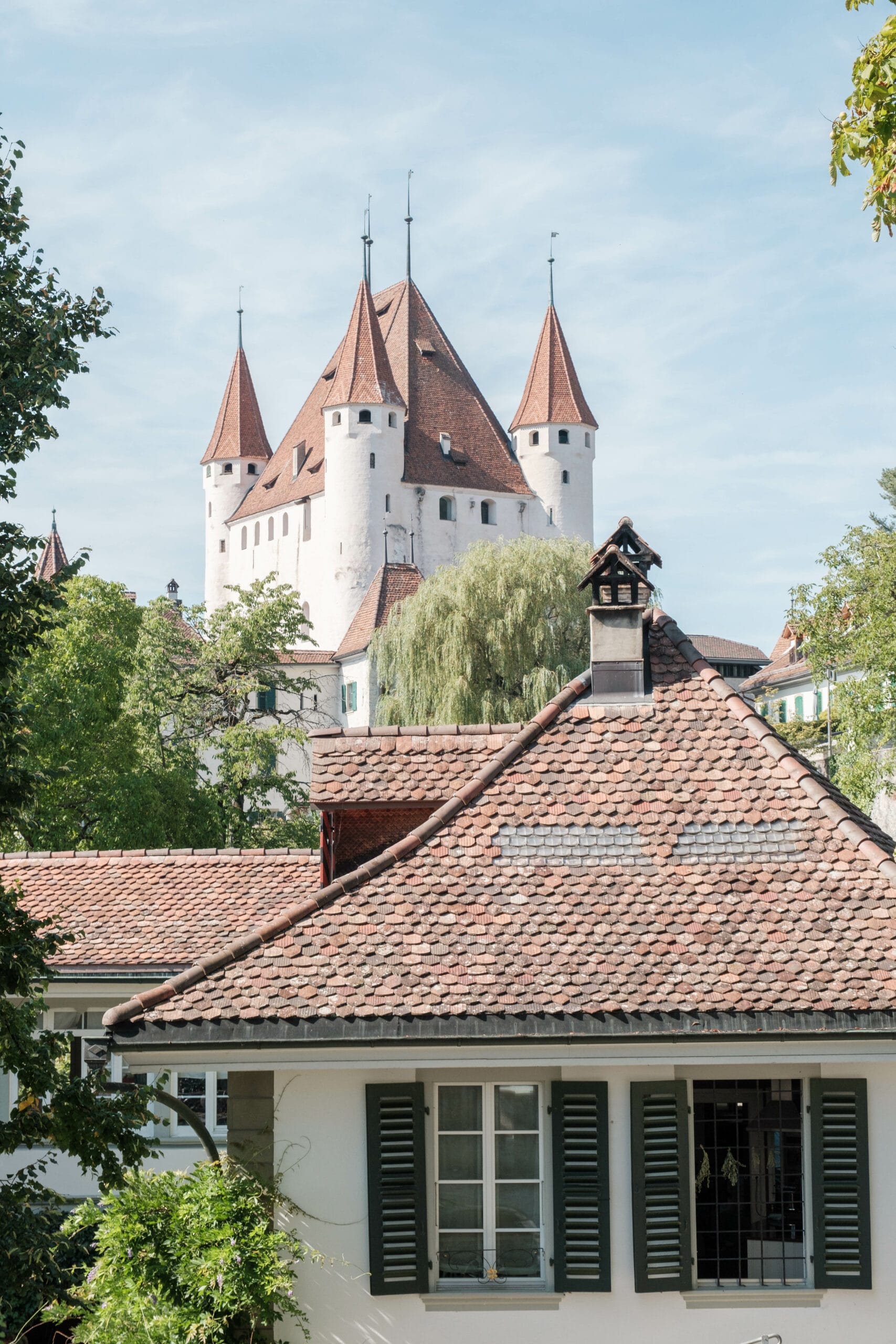 Uferweg Thun Spiez Wanderung mit wundervollem BergSeePanorama