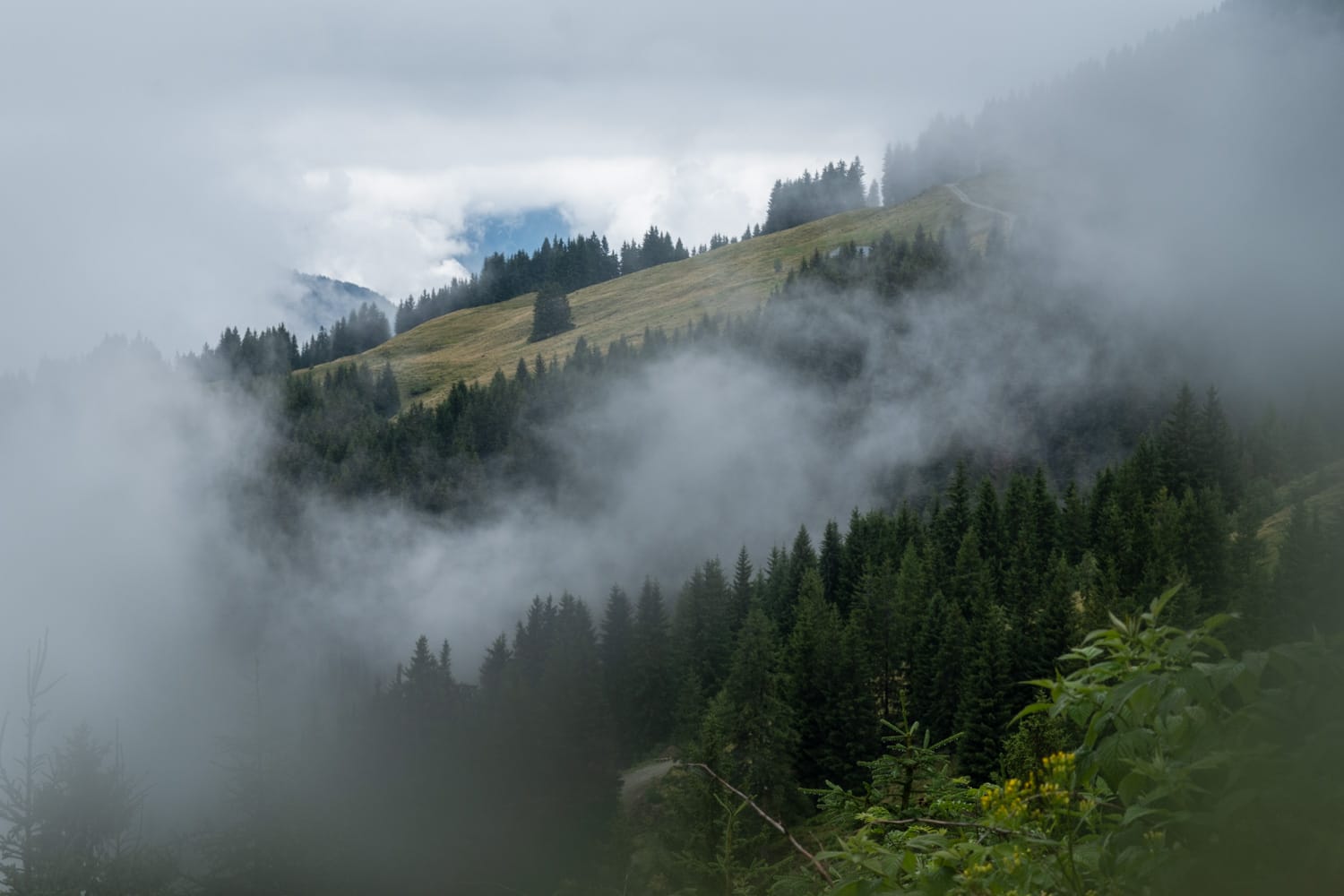Schwalbenwand – Gipfel-Wanderung in Zell am See