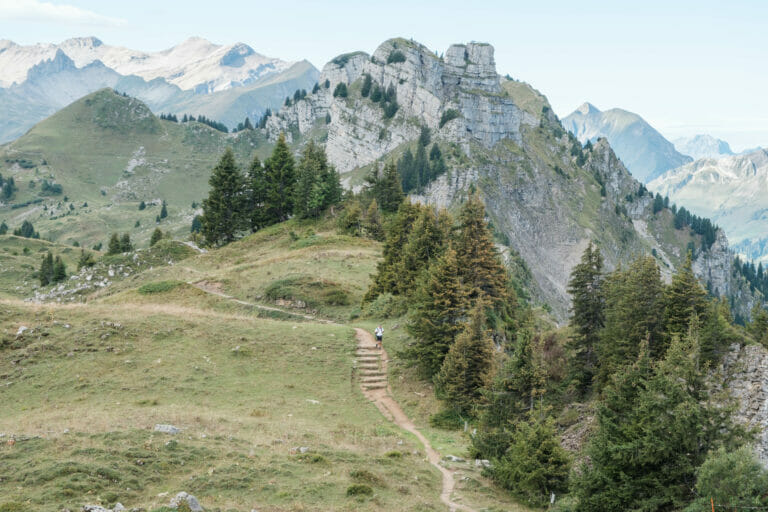 Der Weg wird auch zum Trail Running genutzt