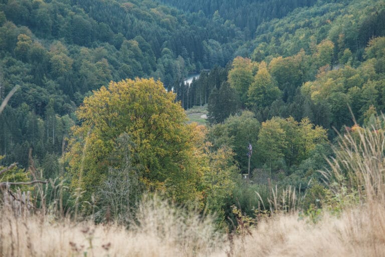 Kleiner Silbersee