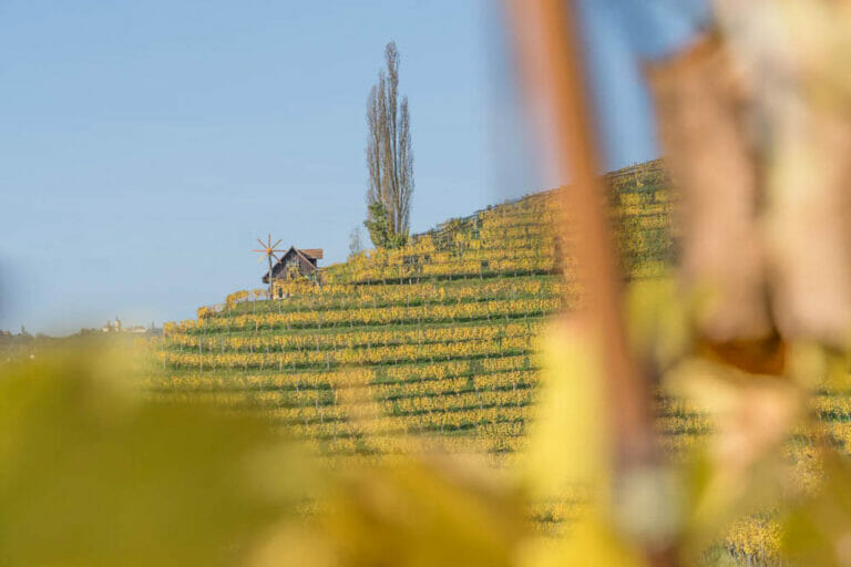 Im Herbst ist die ganze Südsteiermark ein Fotospot