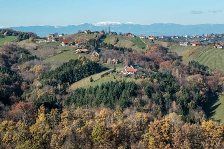 Die sanften Hügel der Südsteiermark im Herbst
