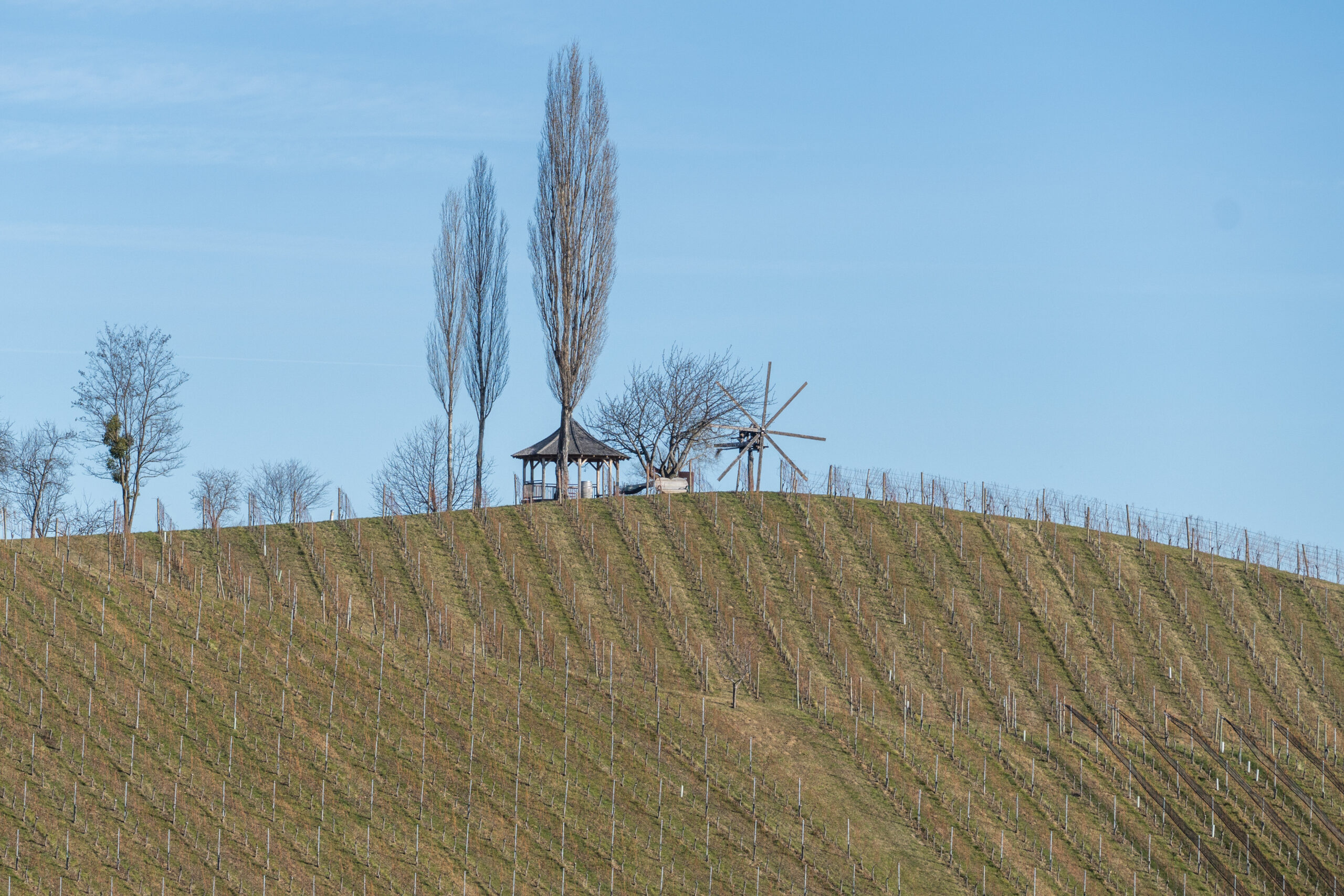 Winterwandern in der Südsteiermark – 7 lohnenswerte Wanderungen