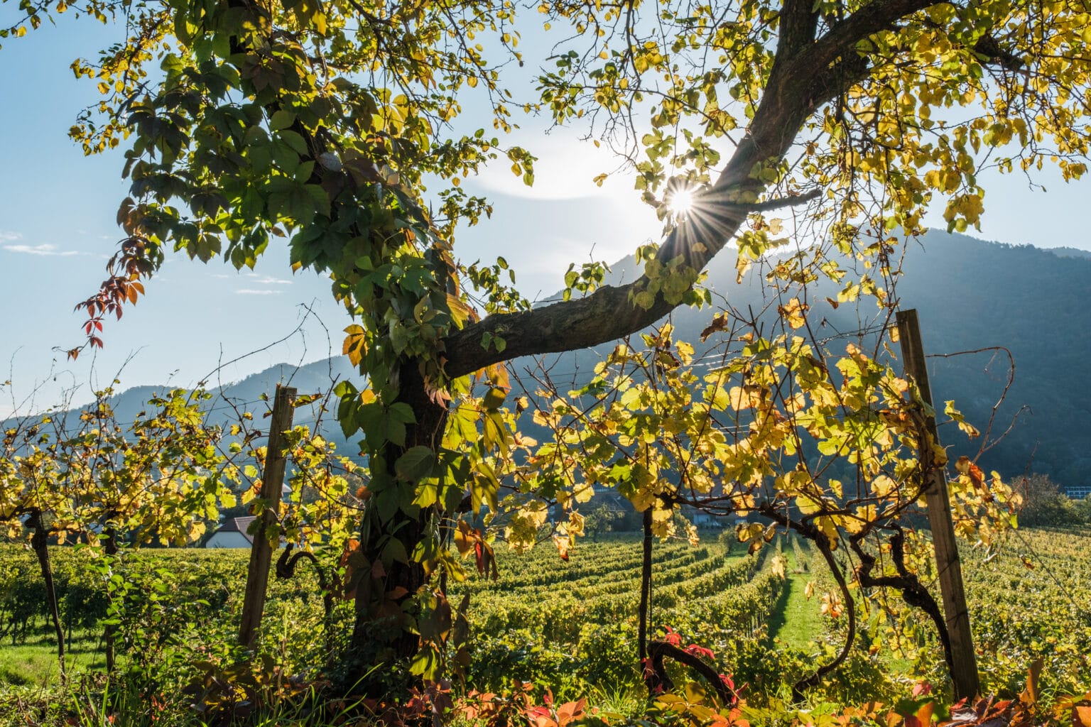 Ein toller Herbsttag