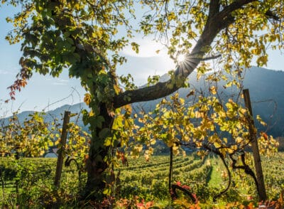 Wo das Wandern im Oktober besonders schön ist – Meine 7 Tipps