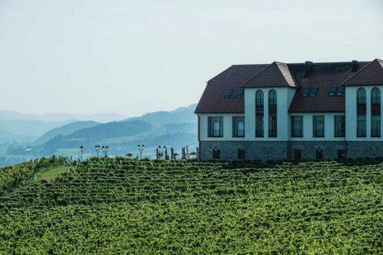 Weingut Taggenbrunn