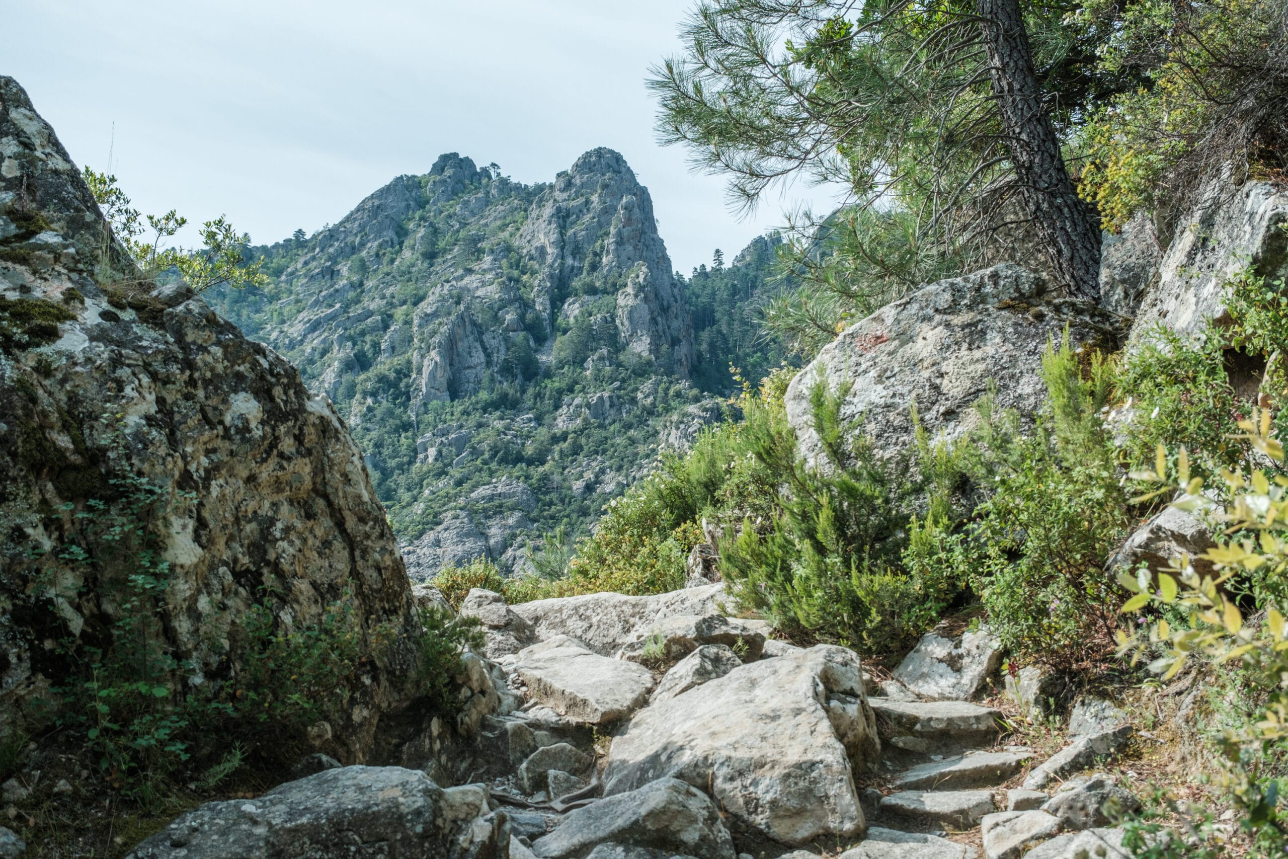 Tavignanotal – Wanderung von Corte