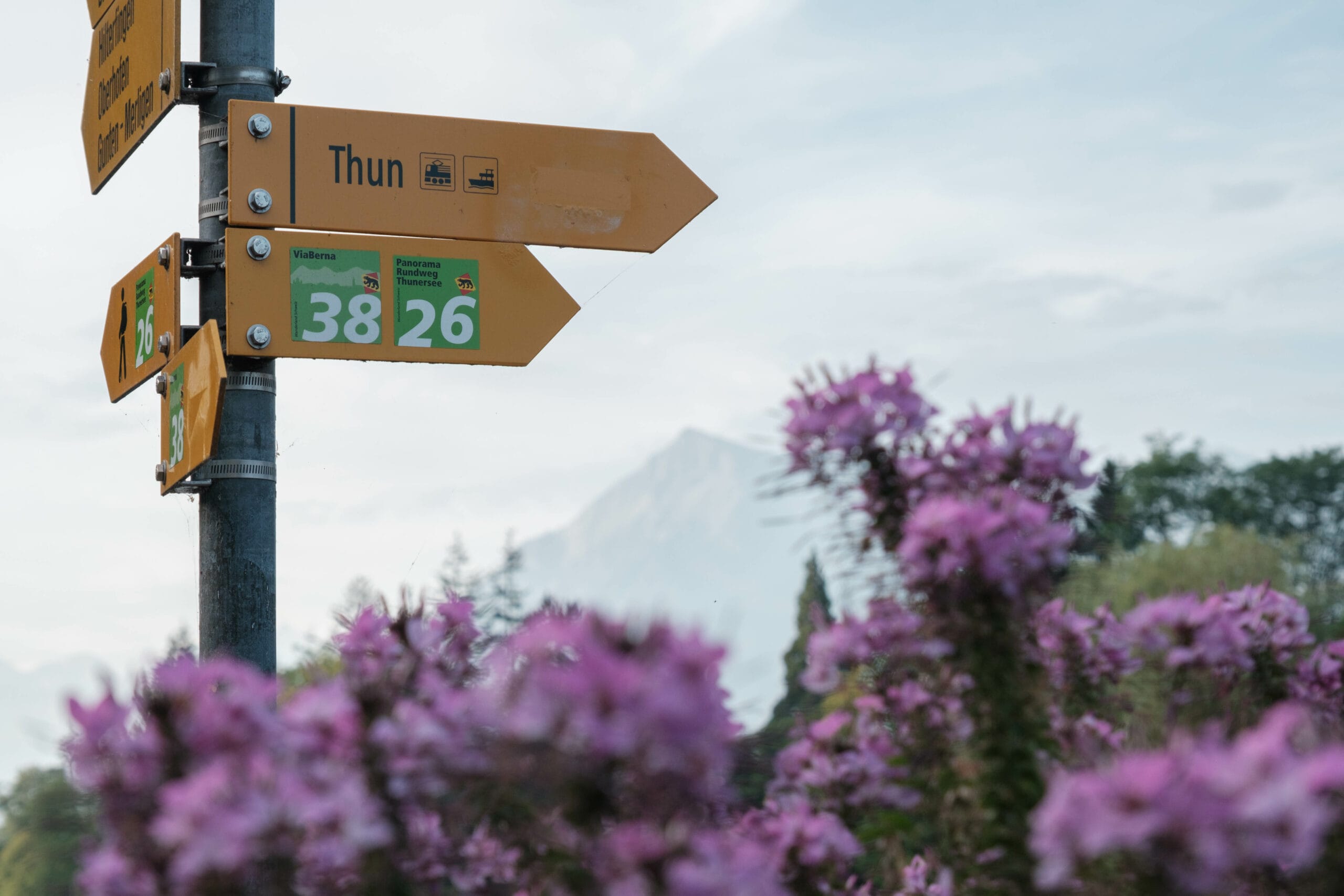 Uferweg Thun – Spiez: Wanderung mit wundervollem Berg-See-Panorama