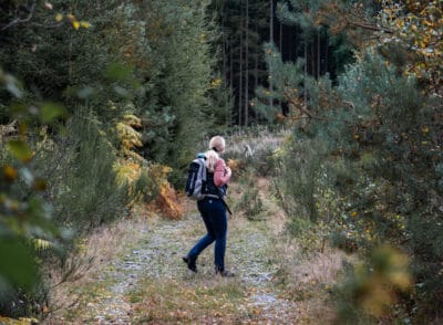 Die Wälder von Saint-Hubert – Auszeit in der Wallonie