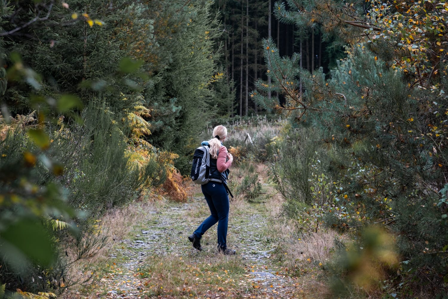 Die Wälder von Saint-Hubert – Auszeit in der Wallonie