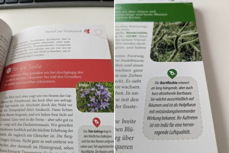 PflanzenbestimmungsApp im Test Meine Erfahrung mit Flora Incognita