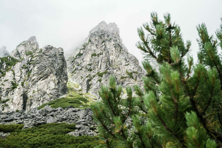 Raue Landschaft in der Hohen Tatra