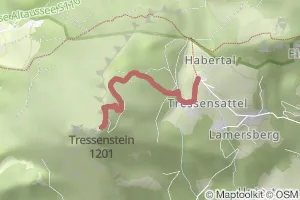Tressenstein-Warte