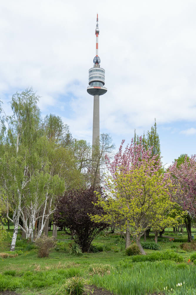 Im Donaupark mit Blick auf den Donauturm