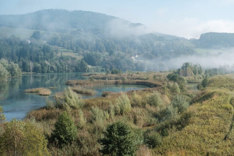 Üppige Natur