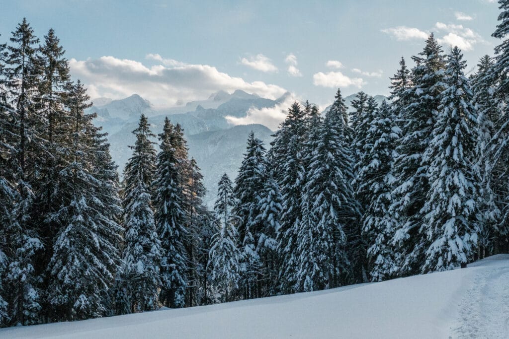Winterwonderland mit Bergblick